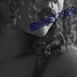 藏经阁17安全(全)入(入)口