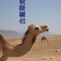 含(hán)羞草(cǎo)免费版在线