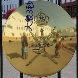 大象3秒自動跳轉