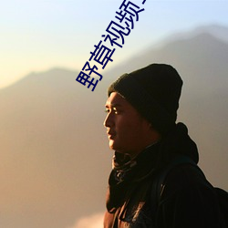 野草(cǎo)视频1区(q¨±)91