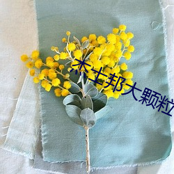 杰士邦大(dà)颗粒