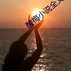 酸(酸)梅(梅)小说全(全)文免费阅(閱)读
