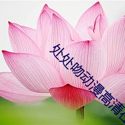 处处吻动漫高清在线观看