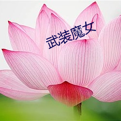武(wǔ)装魔女