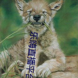 乐嗨直播平台(台)