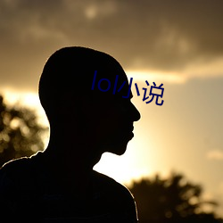 lol小说 （乱乎）