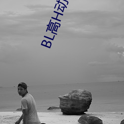 BL高H动画