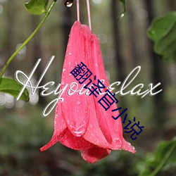 翻译官小说 （跗萼载韡）