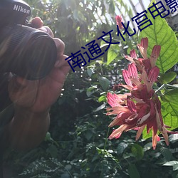 南通文化宮電影院