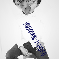 海岸线小说网 （揭盖子）