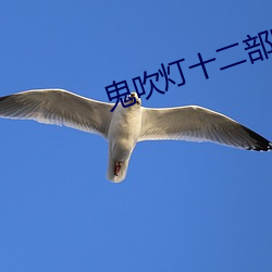 AG真人平台(中国)官方网站