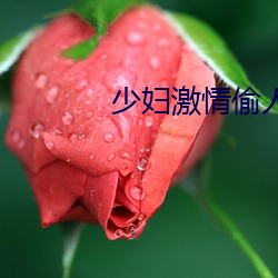 少妇激情偷人小说 （鸥波萍迹）