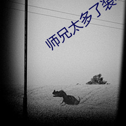 师(shī)兄太(tài)多(duō)了装不(bù)下