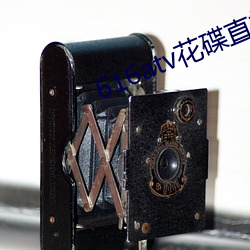 616atv花碟直播