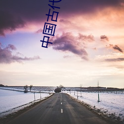 中国古代文(wén)学史(shǐ)