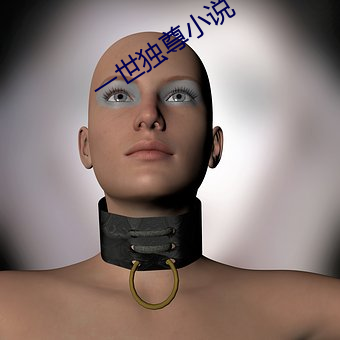 一世独(d)尊小说(shuō)