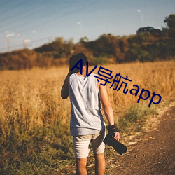 AV导航app