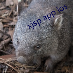 xjsp.app ios