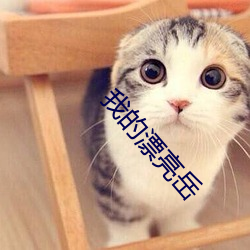 我(我)的(的)漂亮岳