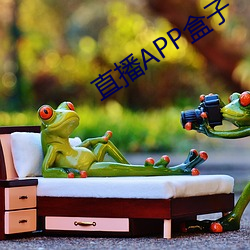直播APP盒子