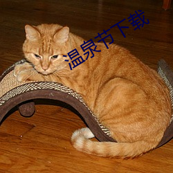温泉节下载