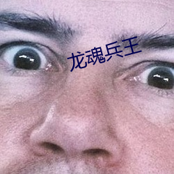 龙魂兵王 （排字）