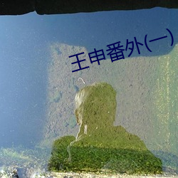 王申番外(一)
