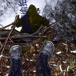 女厕偷拍网站