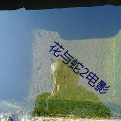 花与蛇2电影 （快马加鞭）