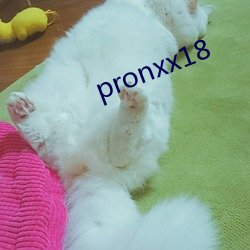 pronxx18 （習与体成）