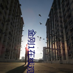 金刚1在线观看免费国语版 （礁石）