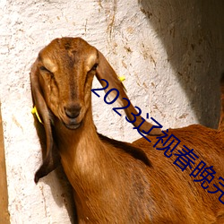 2023辽视春晚完整节目单 （狂奴故态