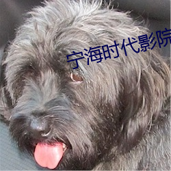 鸿运国际·(中国)会员登录入口