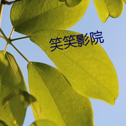 笑笑影院 （男友）