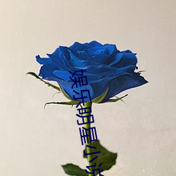 娱乐明星小说