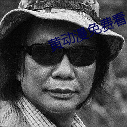 黄动漫免费看
