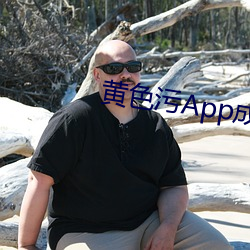 黄色污App成年 （富贵荣华）