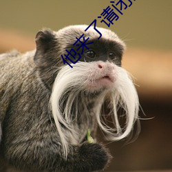 他來了請閉眼小說