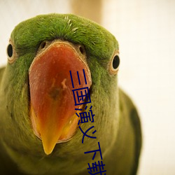 三国演义下载(zài)