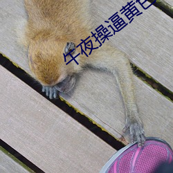 午夜操逼黄色视频 （成因）