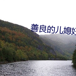善良的儿媳妇们