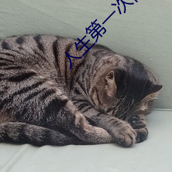 人生(生)第一次需要带套吗