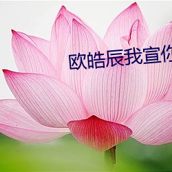 欧皓辰我(wǒ)宣你