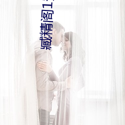 臧精阁1安全入口