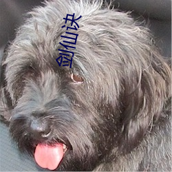 剑仙诀