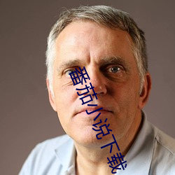 番茄小说下载