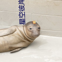 星空彼岸辰東