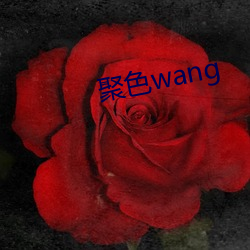 聚色wang