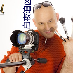 白夜(夜)追凶小说