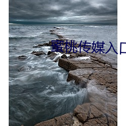 蜜桃传媒入口 （背光）